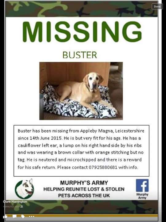 RaunchierSide's tweet image. @CWStalker9 @OfficialBSB HELP  #BUSTER IS STILL MISSING any sightings Tel number on poster #findbuster #murphysarmy http://t.co/oJqZ68KYyt"