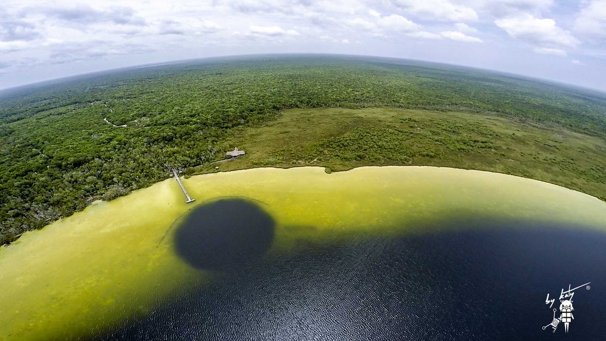 #2 of a week of JUNGLE DRONING "Deep Lagoon"