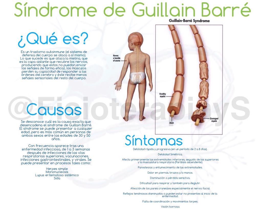FisioterapiayS's tweet photo. El Síndrome de Guillain Barré daña la mielina de los nervios periféricos del cuerpo... http://t.co/zote8im75d