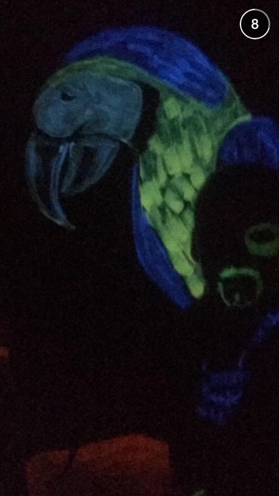 Callmecoachdoug's tweet photo. How many parrots are in this picture @aleighaparrott http://t.co/HIuhtn8G7L