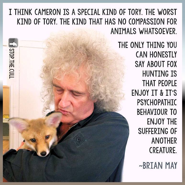 _AnimalAdvocate tweet picture