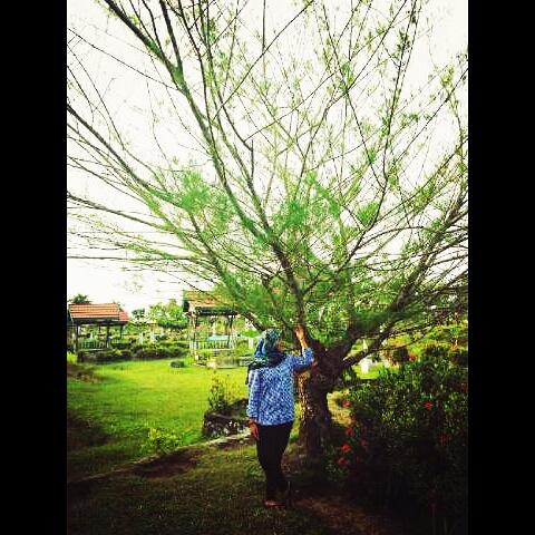 LiyantiSonia's tweet photo. http://t.co/8Q3y6o9kBi