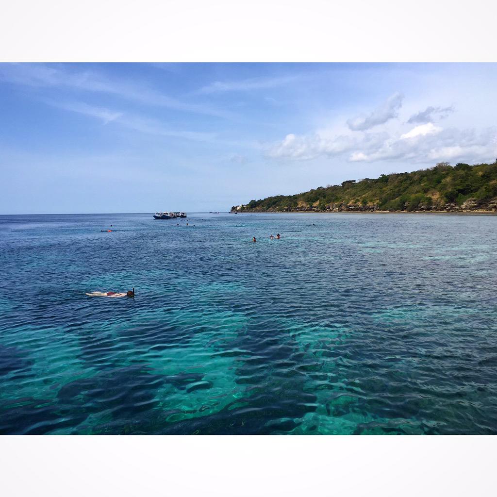 afwray's tweet photo. Today, we snorkel.💦����☀️💓 #Bali #Lovina #menjangan #snorkeling #tootiredtodive #findingnemo #travel http://t.co/oArERn0Sw1