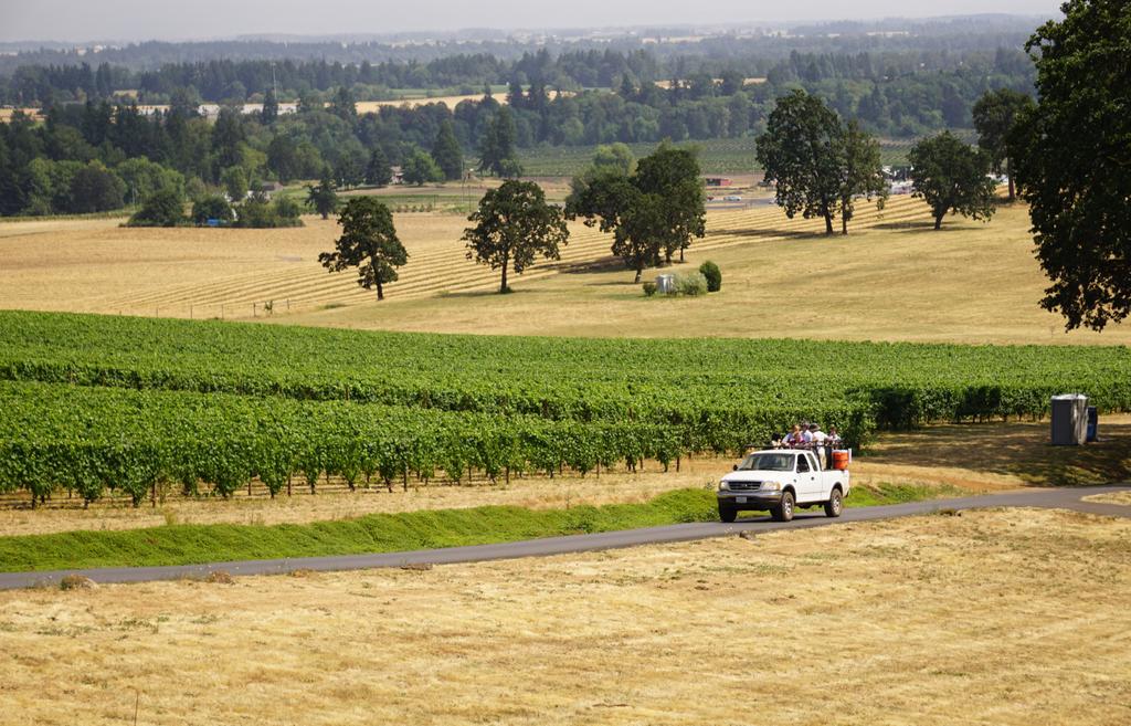 SatelliteSci's tweet photo. All of my favourite things! A day full of wine, ecology and conservation in Oregon's Willamette Valley! #IALE2015 http://t.co/D1JMw0VRCB