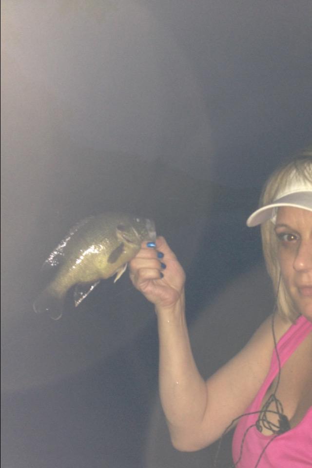 jbryan6000's tweet photo. Doing a little #fishing tonight!#lake #bellavista #Arkansas #lakeAvalon #kayak #kayakfishing #perch #wildernessSystem http://t.co/rwc9fw00Kf