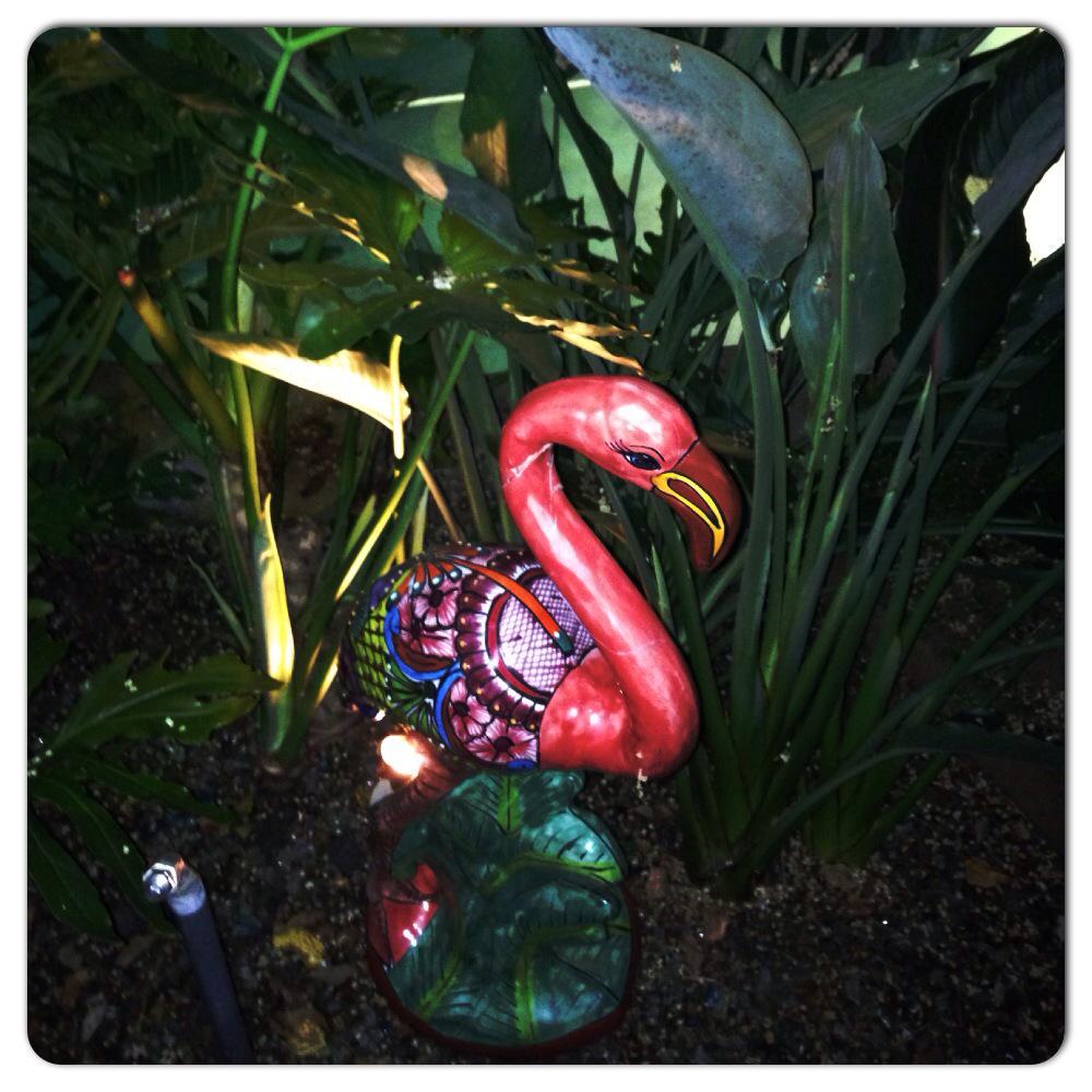 SuperRandomish's tweet photo. Fun fact about @TheBoydP: He has a ceramic flamingo, which is believed by some to be Liberace reincarnated.#BoydFacts http://t.co/b2rWp0qsYJ
