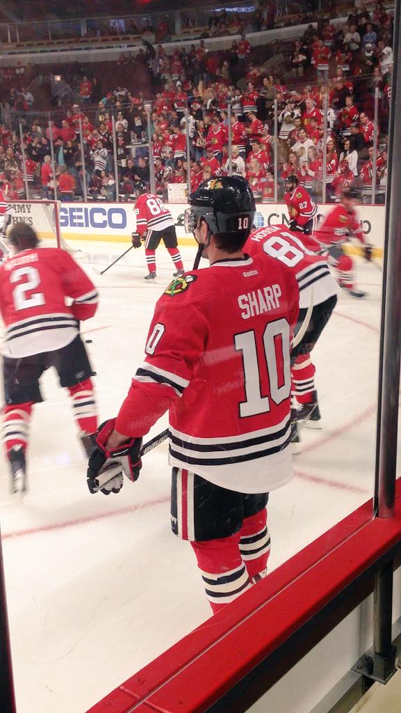 RebeccaSugars's tweet image. I will never forget what you've done for me &amp;amp; Chicago🌎🌌💕 I will love you always, Sharpie.💘😌  #thankyousharp