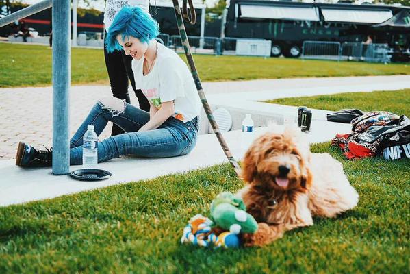 HayleyWOnline's tweet photo. New photo of @yelyahwilliams &amp; Alf! 🐶 http://t.co/upB2IVmQ25