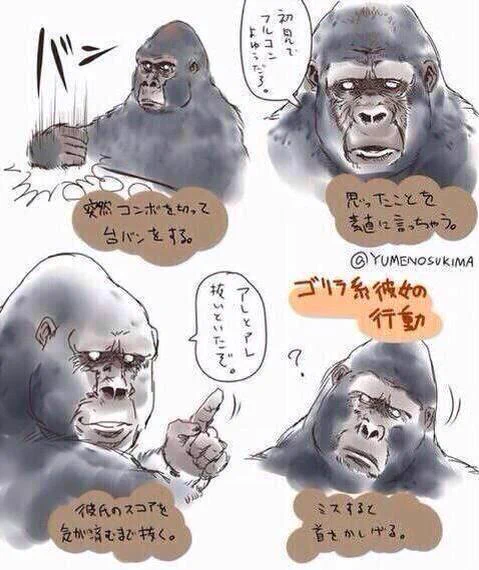 あなたは何系女子？ちなみに私はゴリラ系www