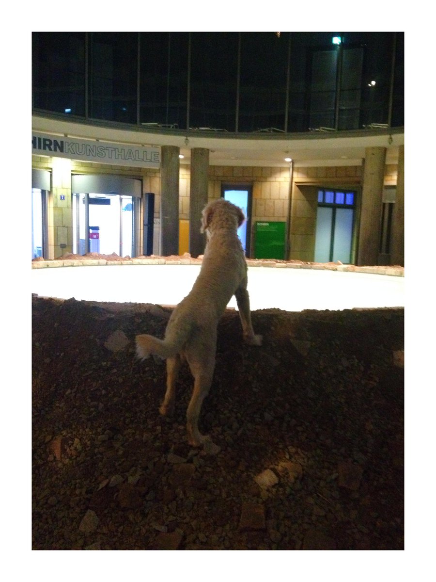 #dougaitken exhibition <a href="/SCHIRN/">SCHIRN KUNSTHALLE</a> makes me experience the magic which art is about, even the opening dog got it