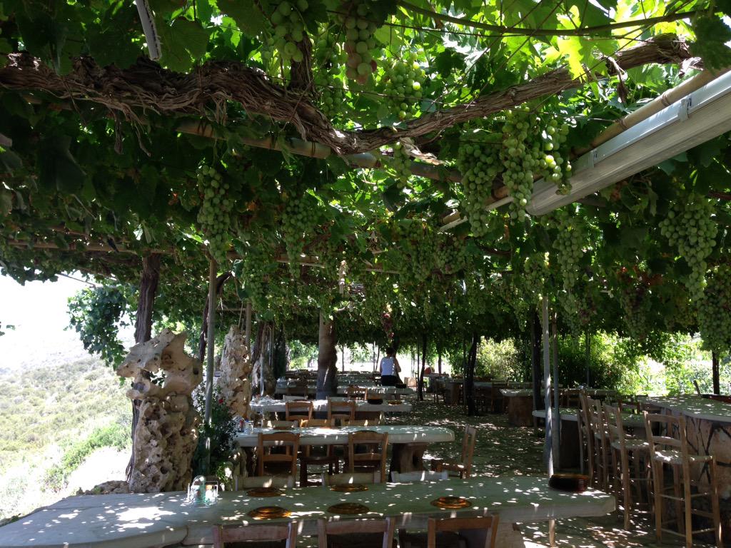 Saintsman99's tweet photo. The best restaurant in #Cyprus full stop. Been coming here for 15yrs. #Viklari #TheLastCastle #Akamas #BBQ http://t.co/us9rXPFsY5