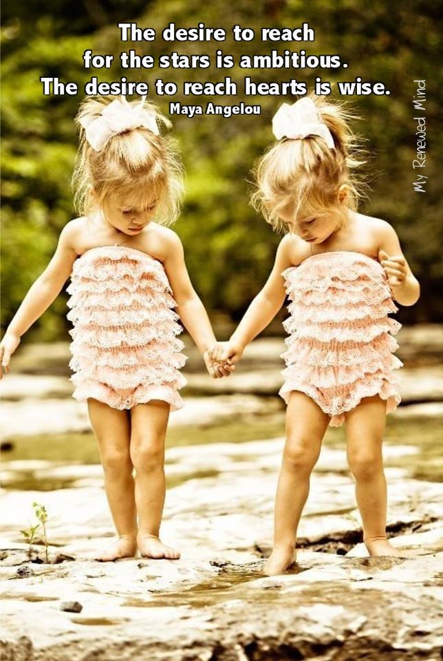 Meg Lawton tweet media