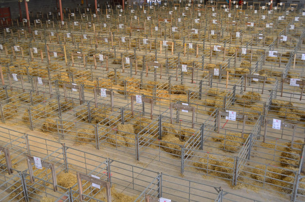 The pens are being installed… #RoyalWelshShow