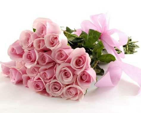 JUAL BUNGA MAWAR NONGSE, BATAM