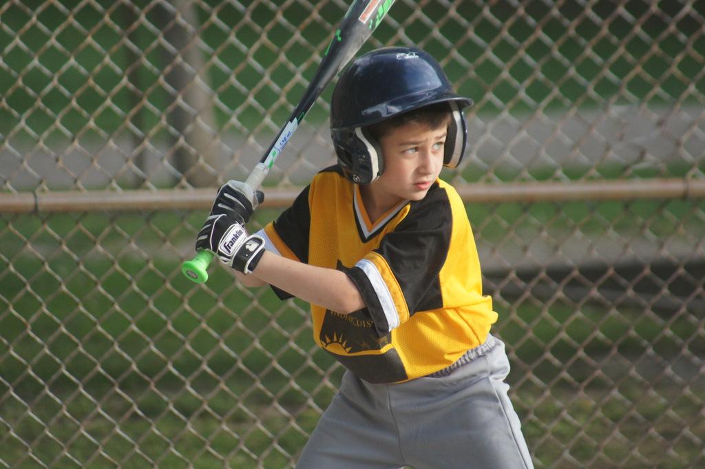 Toronto Playgrounds Baseball Association tweet media