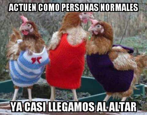 Grdi22's tweet photo. @JuanOrtega72 @MarileUnger  jajaja feliz fin de semana :) http://t.co/Th9aw4qgQe