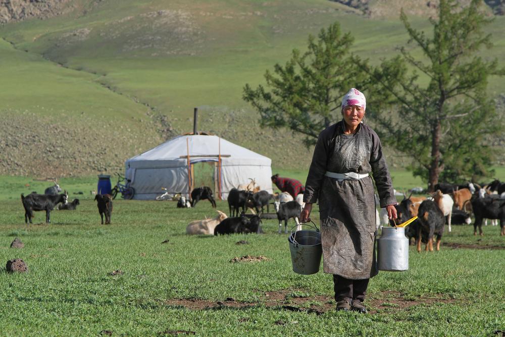 Tripatini's tweet photo. Happy #Mongolia Day! Naadam Festival + other amazing sites/experiences http://t.co/cEsy9w45jG. #ttot @Traveltomongol http://t.co/B7dITR61uF