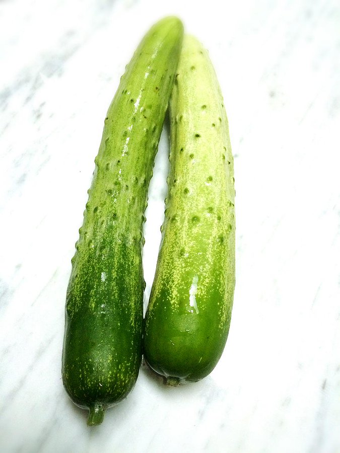 きゅうりの保存方法と期間 冷凍で長持ちさせるには 使いかけはどうするか 情報整理の都