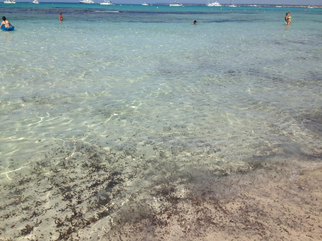 MaruchiVB's tweet image. #Mallorca y sus playas. Día de relax absoluto con mi compañero de viaje @corbogui @EsTrenc_