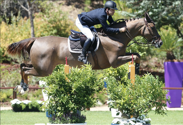 santiagolambre's tweet photo. @GCT_events
Photo credit: Stefano Grasso / LGCT
#globalchmpionstour #Estoril #Hoseshow #Portugal http://t.co/BVs0sVfmAy