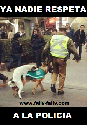 Failss_Failss tweet picture
