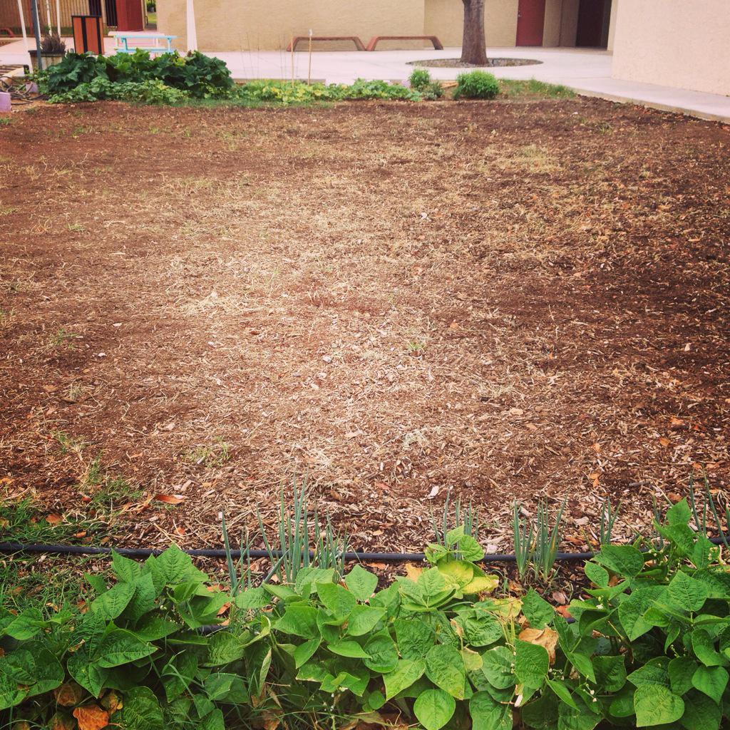 fbcsgarden's tweet photo. Thank you to our tillers!  Thinking of fall planting. #CommunityGarden #goodsoil #UrbanGarden #organicsoil #growfood http://t.co/M4XjZEWGmY