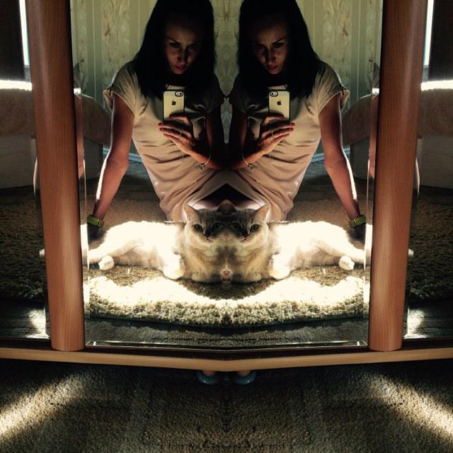 InstaTambov's tweet photo. #FlipperApp #Тим #котэ #summer 😻🐾💃🏻💋🐈📷📱 #тамбов http://t.co/BajUBjHk9r