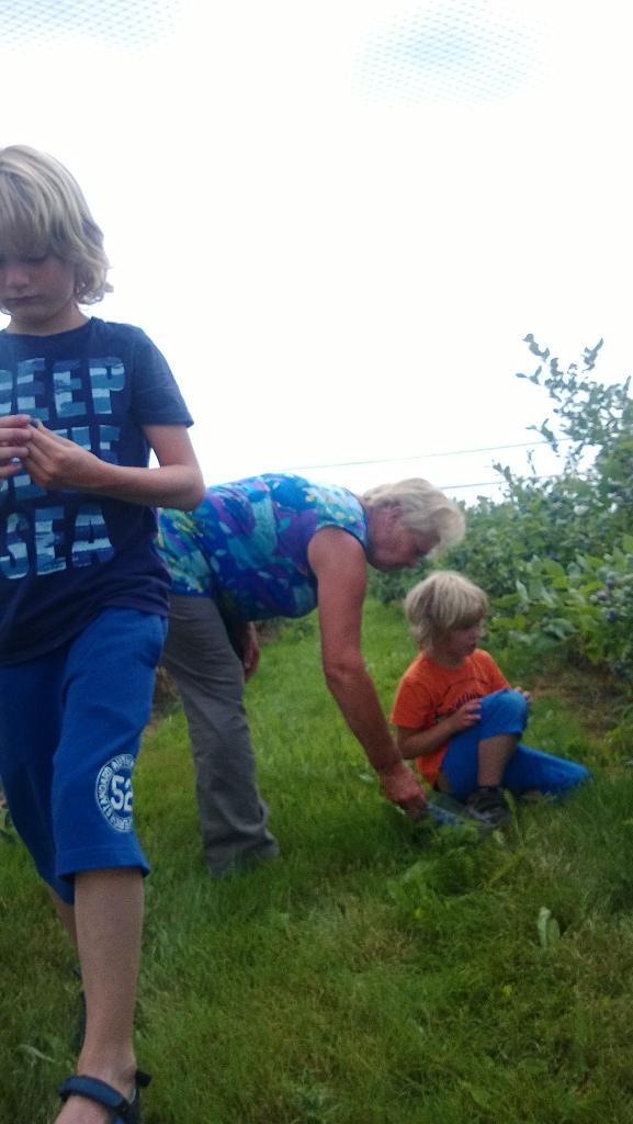 Mmm @bessentuin hardenberg. Groot feest met oma plukken 😊