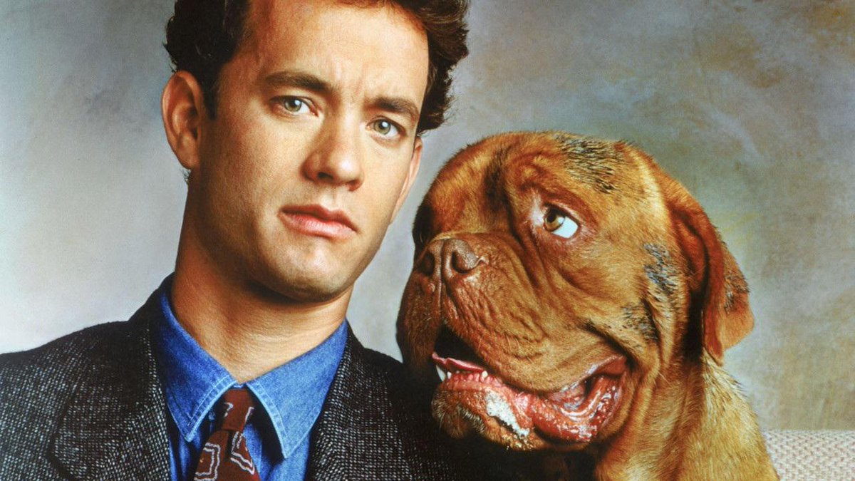 OutdoormoviesBC's tweet photo. TONIGHT! Bring your dog to a FREE outdoor screening of TURNER &amp; HOOCH at @Adventureden (650 Industrial, Vancouver)! http://t.co/b9xBiNsQQP