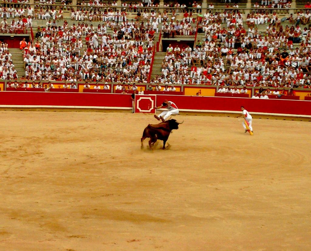 torospamplona's tweet photo. Buenos recortes pero toros flojos esta mañana, lástima http://t.co/R45u0SzFPd