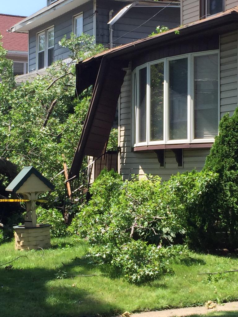 erijo16's tweet photo. @NYCParks  A healthy tree does not do this.  You put my home and family at risk. Constant ave http://t.co/l2edgLmGE9
