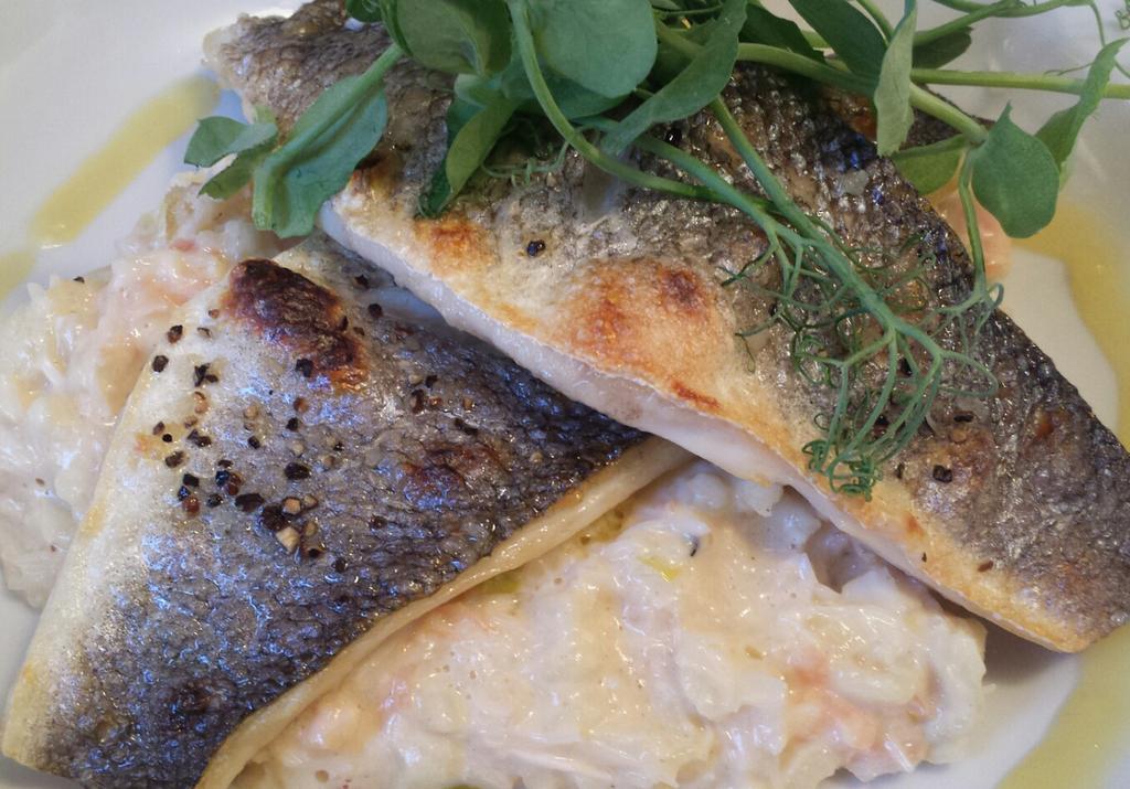 mcoxfox's tweet photo. @Thegalleyios Absolutely gorgeous meal at The Galley tonight. Food was so tasty! Thank you! #ioshour #tasty http://t.co/ONqAdFfoJx