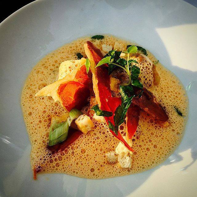 J'adore Toulouse tweet media