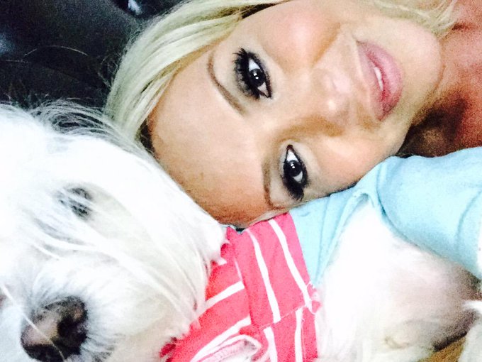 Cuddling my love bug! Happy Saturday Darlings!!! http://t.co/Q7UGaBxYYE<a href="/tag/maltese"class="tags"><span>#maltese</span></a>