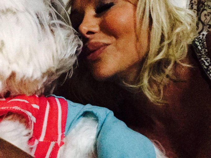 Cuddling my love bug! Happy Saturday Darlings!!! http://t.co/Q7UGaBxYYE<a href="/tag/maltese"class="tags"><span>#maltese</span></a>
