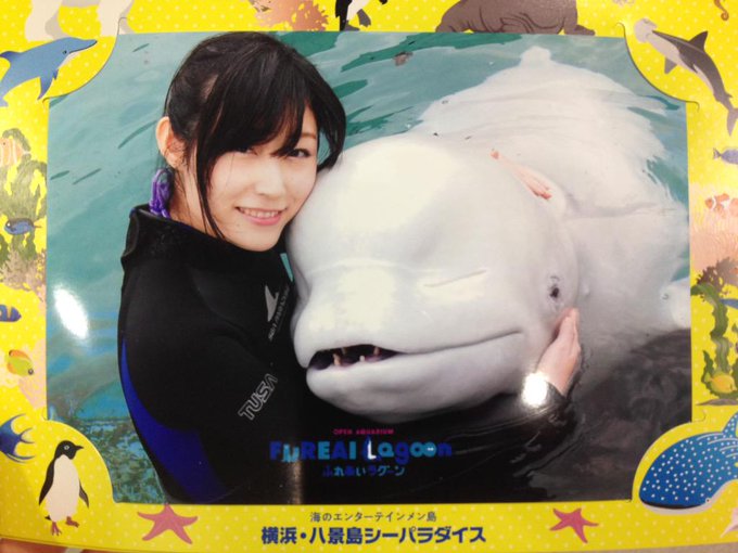 そういえば私、今年初めてイルカに乗りました。  おはようございます！ http://t.co/7idCqxMiVP<a href="/tag/%E3%82%B0%E3%83%A9%E3%83%89%E3%83%AB%E8%87%AA%E7%94%BB%E6%92%AE%E3%82%8A%E9%83%A8"class="tags"><span>#グラドル自画撮り部</span></a>