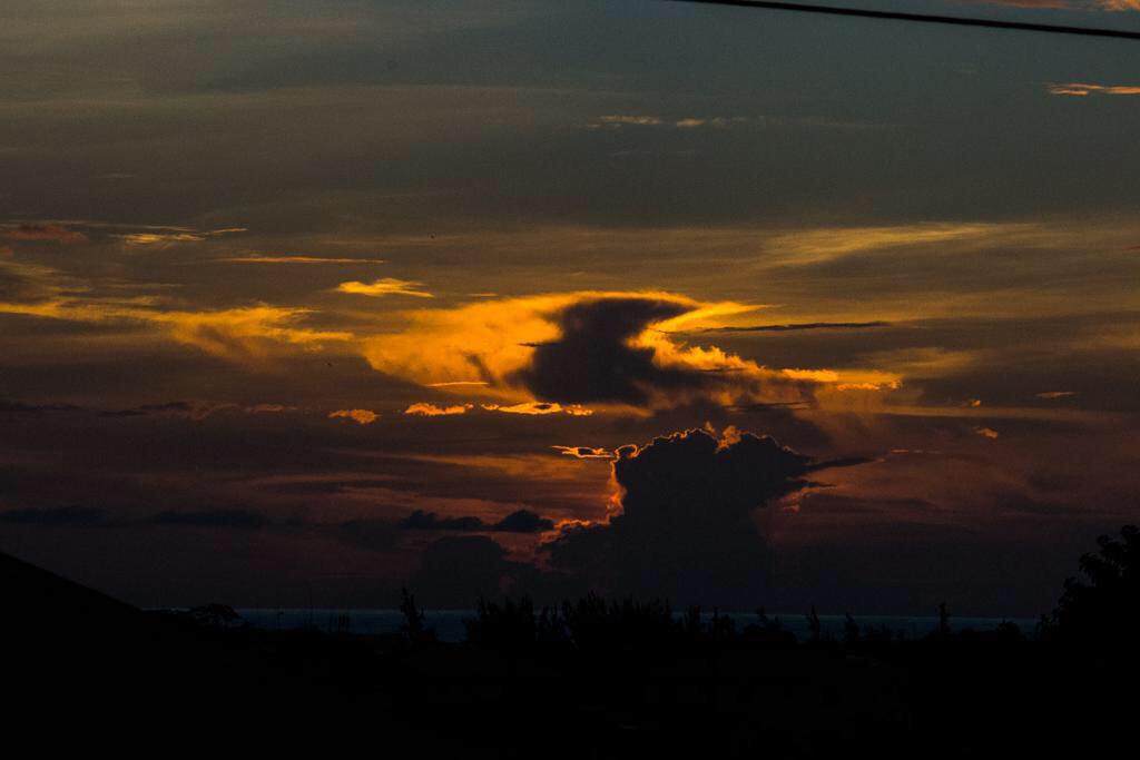 _KingDogAlex's tweet photo. Barbados x4 http://t.co/bJZ4vmXHHI