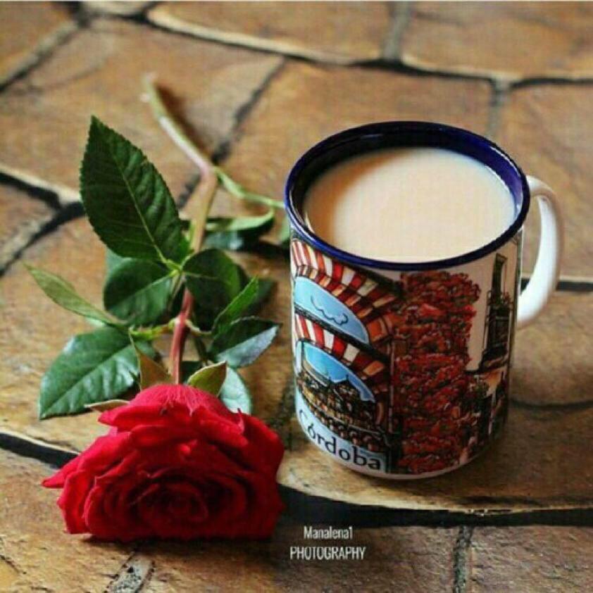 nawwaffff1's tweet photo. #لاين_لأجلهم http://t.co/d3zT4Lova2