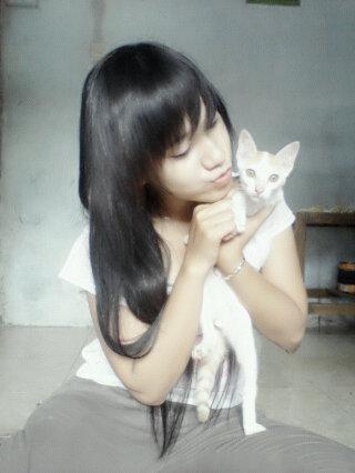 taureans_may94's tweet photo. Kucing yg lucu :D http://t.co/hxYnV9AgMK