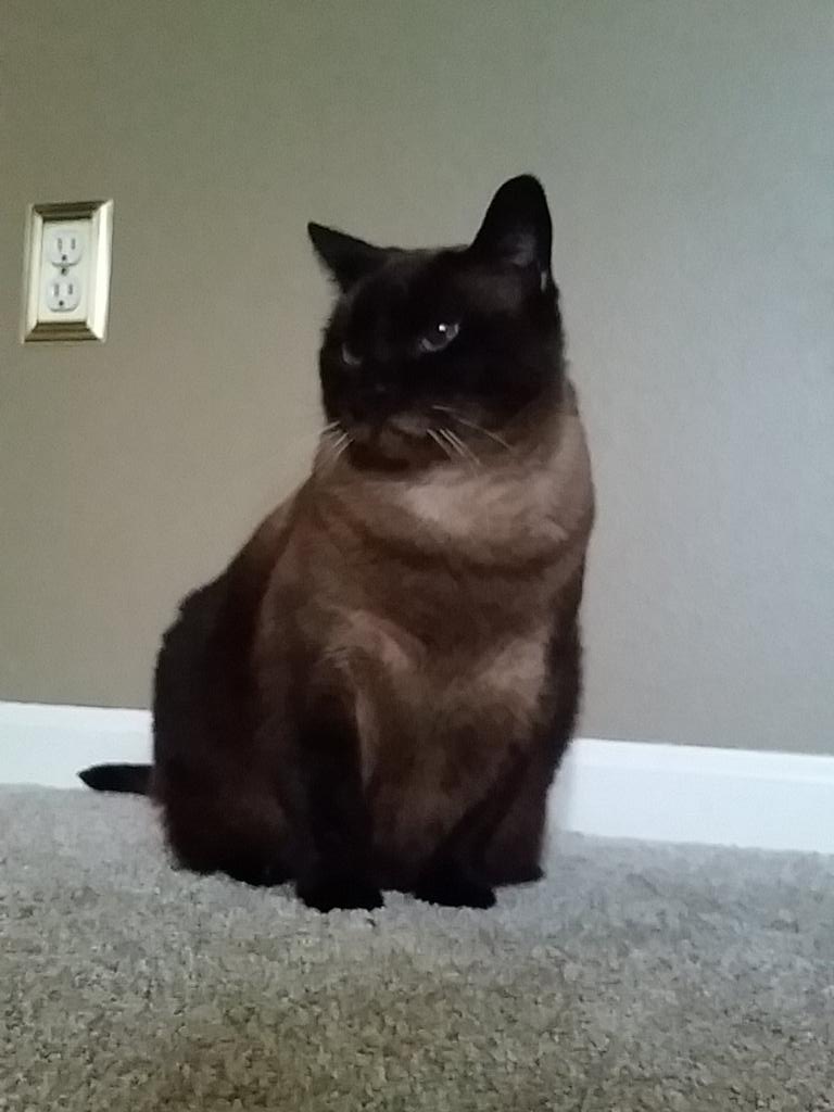 This bitch right here.
