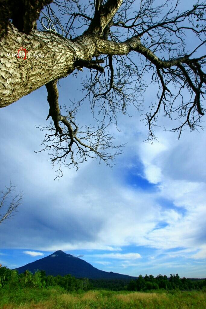 GNFI's tweet photo. Indahnya Gunung Klabat dari #Minahasa Utara Sulut. https://t.co/MQ9BF0JjN9 -via @benedictusvenus