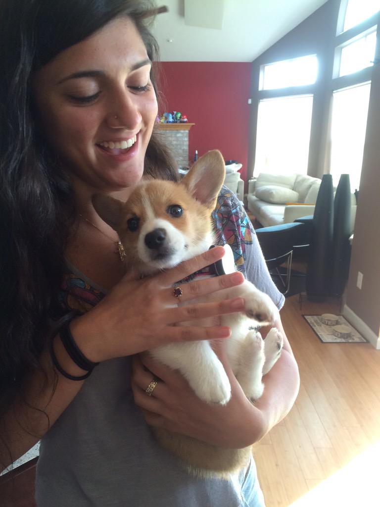 JJfromMA's tweet photo. IGNORE MY FACE BUT LOOK AT THIS DOG @RileyLongolini http://t.co/RaJfVd2wgR