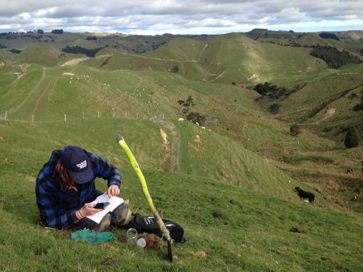 MorrisonFarming's tweet photo. The great #KiwiWorms count at #MangaRa Station. @nzwormdoctor Now are guessing which #worms are which. #WormTastic! http://t.co/B6IFtHT74C