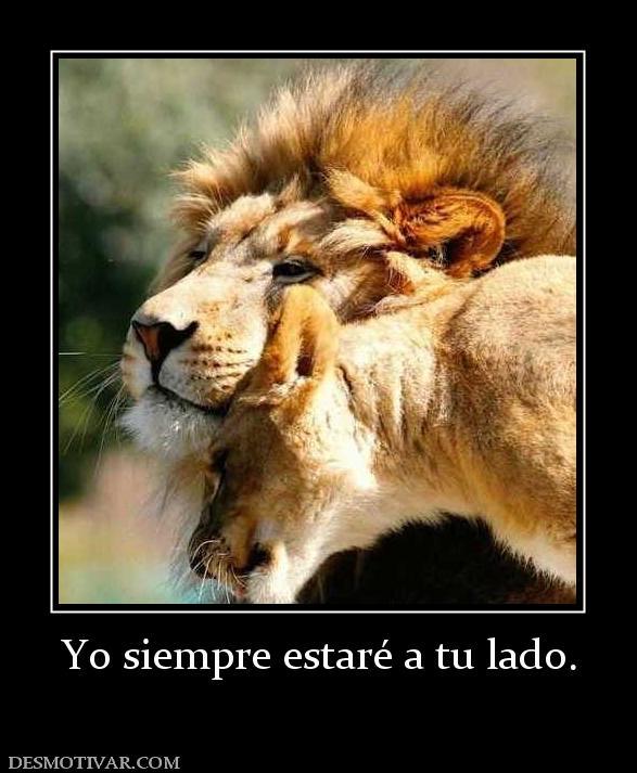 luiggix89's tweet photo. @Nohe20 una imagen vale más que 1000 palabras te amo mucho mi amor. http://t.co/I5TDTSlHQ9