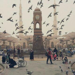 MarzuqiArif tweet picture