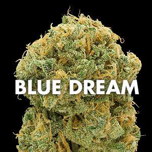 ibehighlike's tweet photo. What's Your Favorite Strain?ΒΏ?
RP With Your Personal Best Smoke
#ibehighlike http://t.co/9nBsz2ZDTG