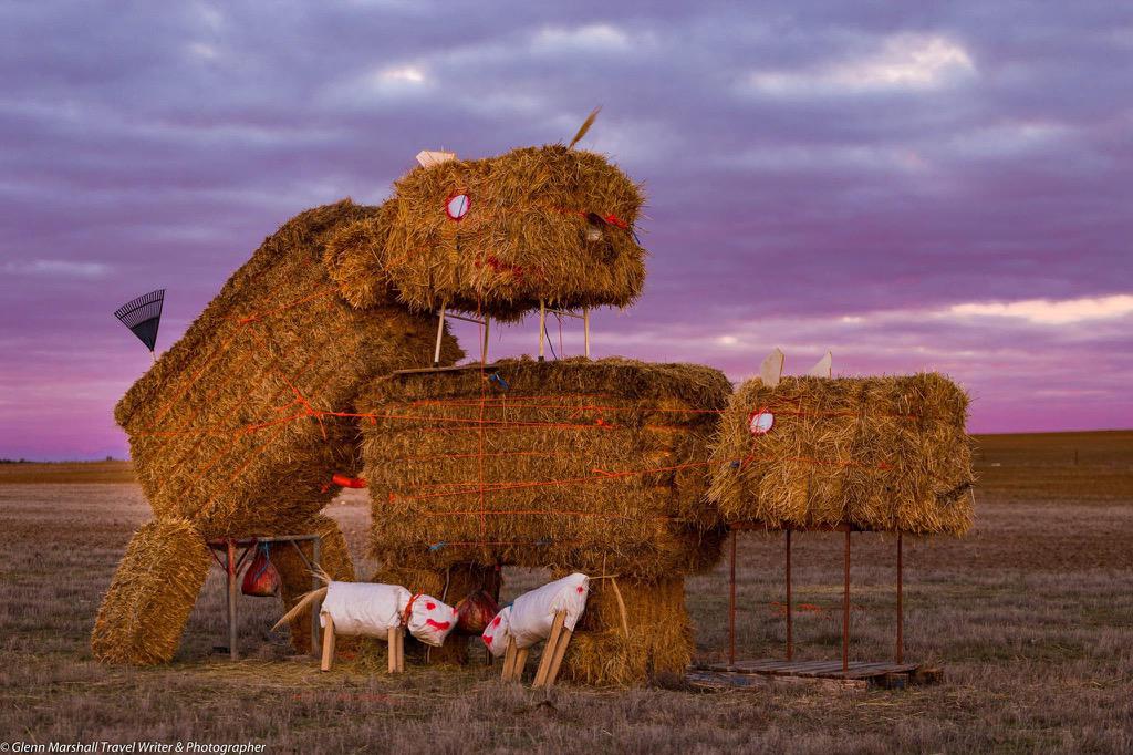 4wdadventureoz's tweet photo. Creativity, I love Aussie farmers
#lakecharm #visitvictoria #location #cows #canon #loveit #landscaped #funny #humour http://t.co/QdhhJkqolR
