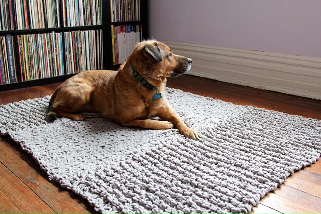 DrHoy480's tweet photo. @ryan_hiryguy @MiaBellaGS I am learning to knit to make this rug for Kuiper. Slowly but surely. #craftsforpets http://t.co/j0Iy5d2gTC