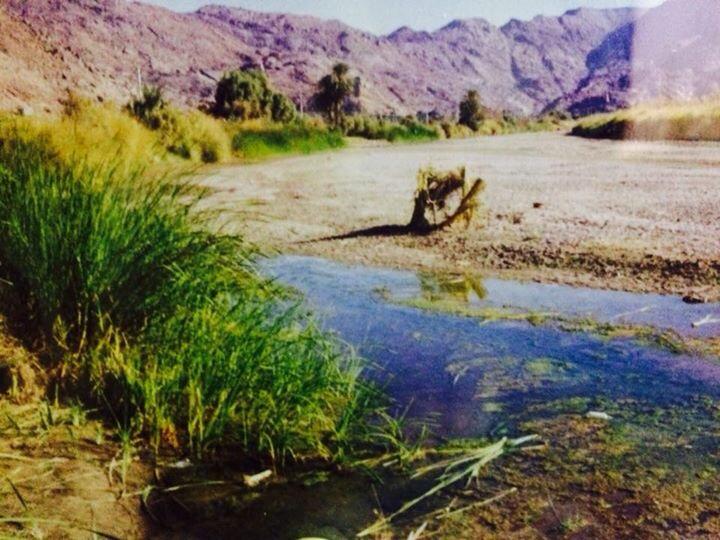 الغيل والوادي مستغيل💦
صوره لوادي نجران الاعظم  ١٩٨٢م ١٤٠٢وكان الوادي نادر ما يخلو من الغيل الذي يأتِ من تكرار السيل