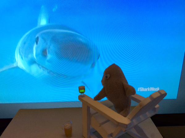 SharkAdvocates's tweet photo. Savoring the last few hours of #SharkWeek #SharkSanity @SharkWeek http://t.co/OTHcS2SLAT